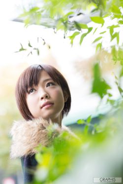 《村里美人香》免费阅读